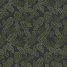 13126 Piner Eden Wallpaper By Ted Baker Galerie