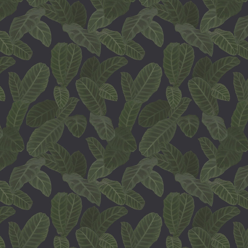 13126 Piner Eden Wallpaper By Ted Baker Galerie