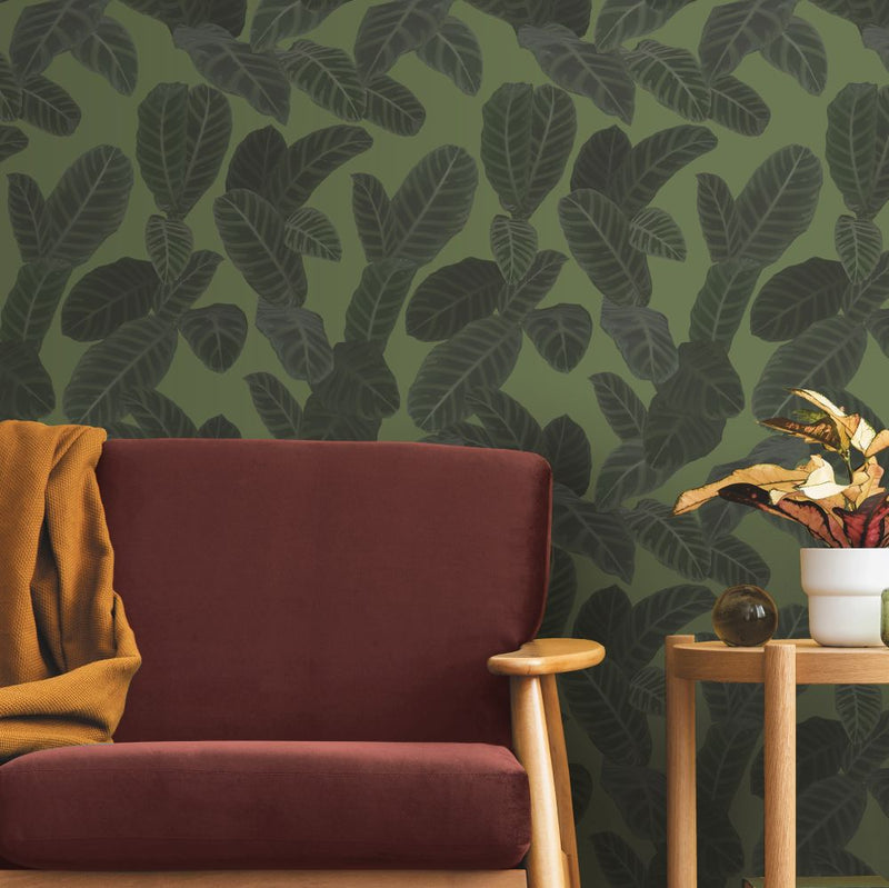 13127 Piner Eden Wallpaper By Ted Baker Galerie
