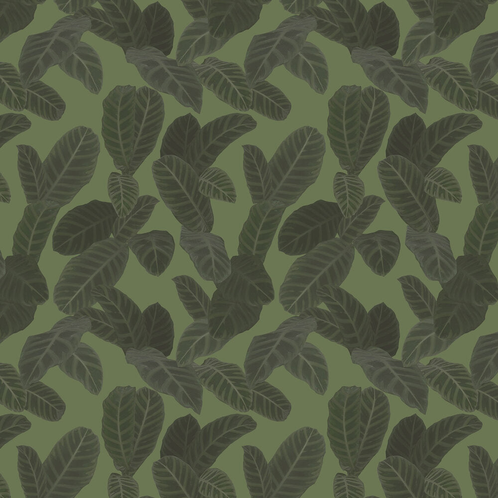 13127 Piner Eden Wallpaper By Ted Baker Galerie