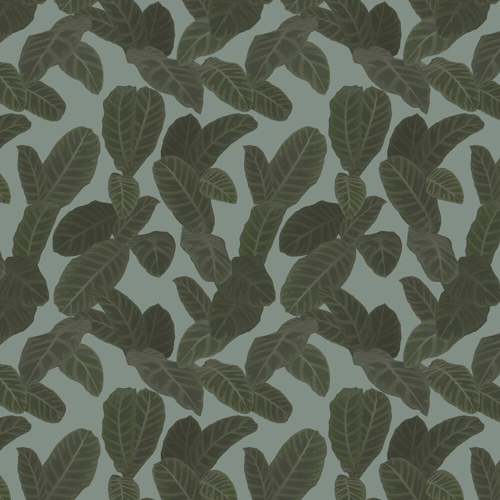 13129 Piner Eden Wallpaper By Ted Baker Galerie