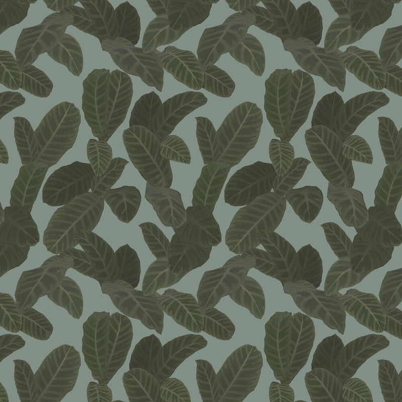 13129 Piner Eden Wallpaper By Ted Baker Galerie