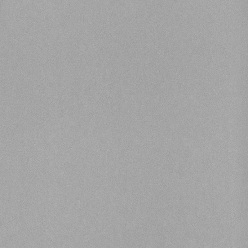 MINCT13219424 Shadow Uni 1930 Wallpaper by Casadeco