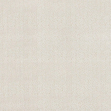 132679 Dentella Paloma Silver Fabric by Harlequin