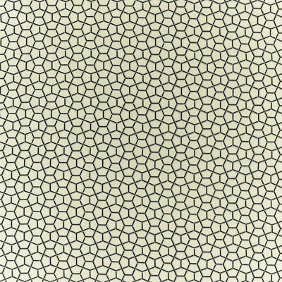 Cubica Momentum 12 Onyx Fabric by Harlequin