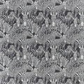 Nirmala Mirador Drapery Jet Fabric by Harlequin