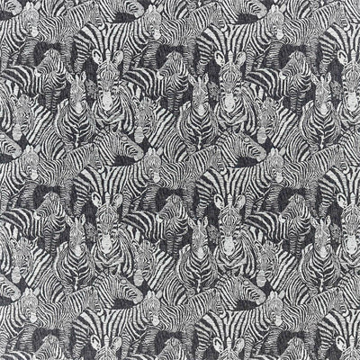 Nirmala Mirador Drapery Jet Fabric by Harlequin