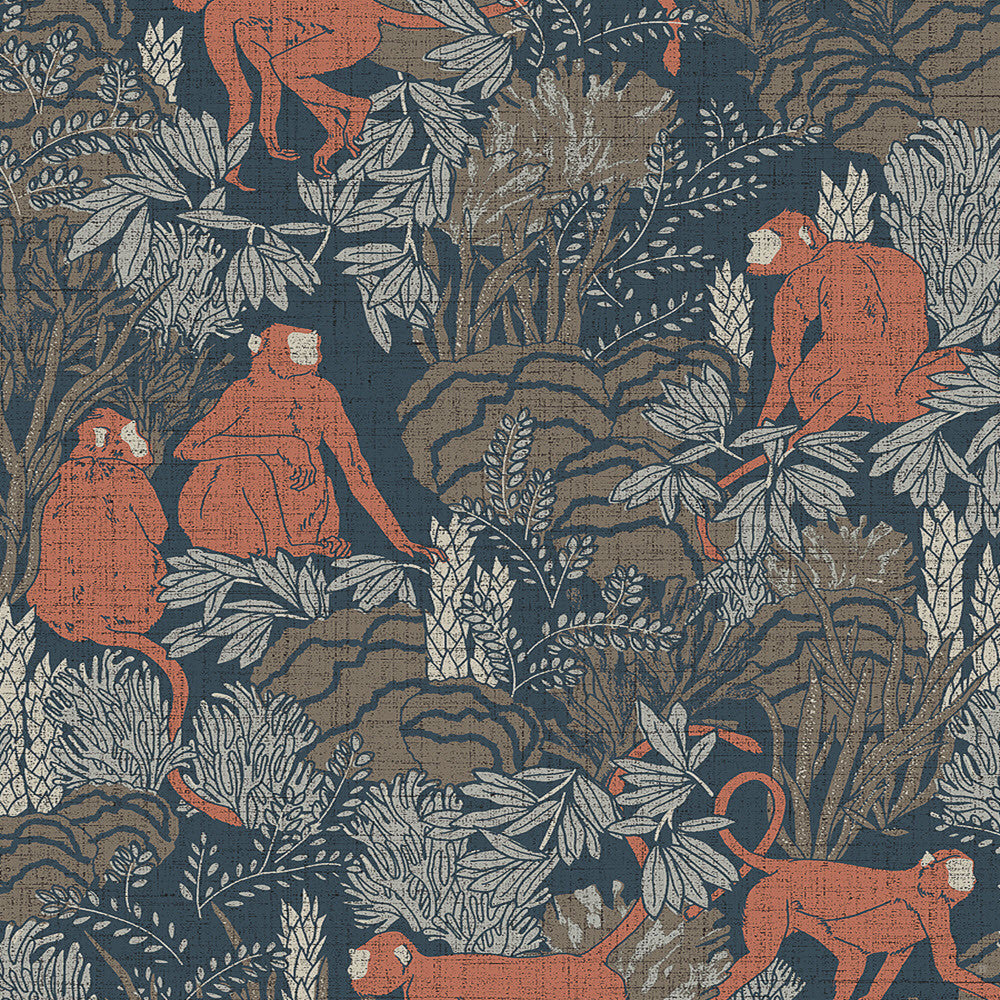 13532 Langur Curiosa Wallpaper By Arte