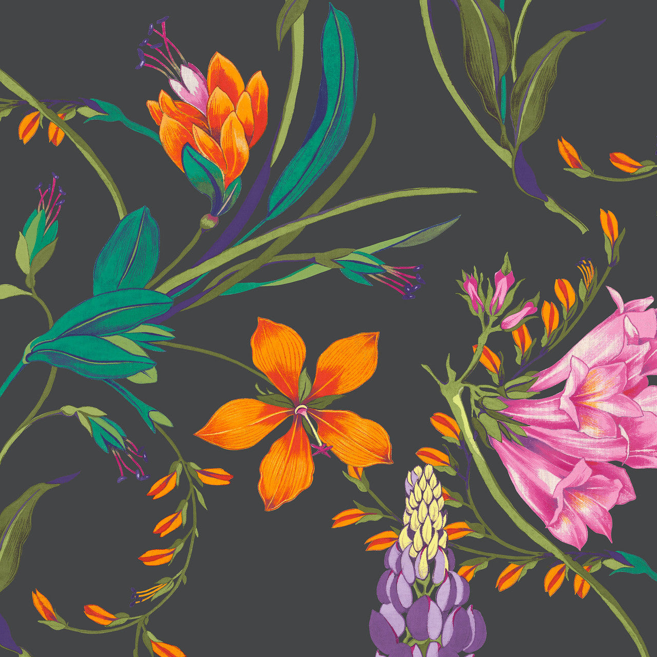 139865 Botanists Scroll Concerto Night Mural Wallpaper By Graham & Brown