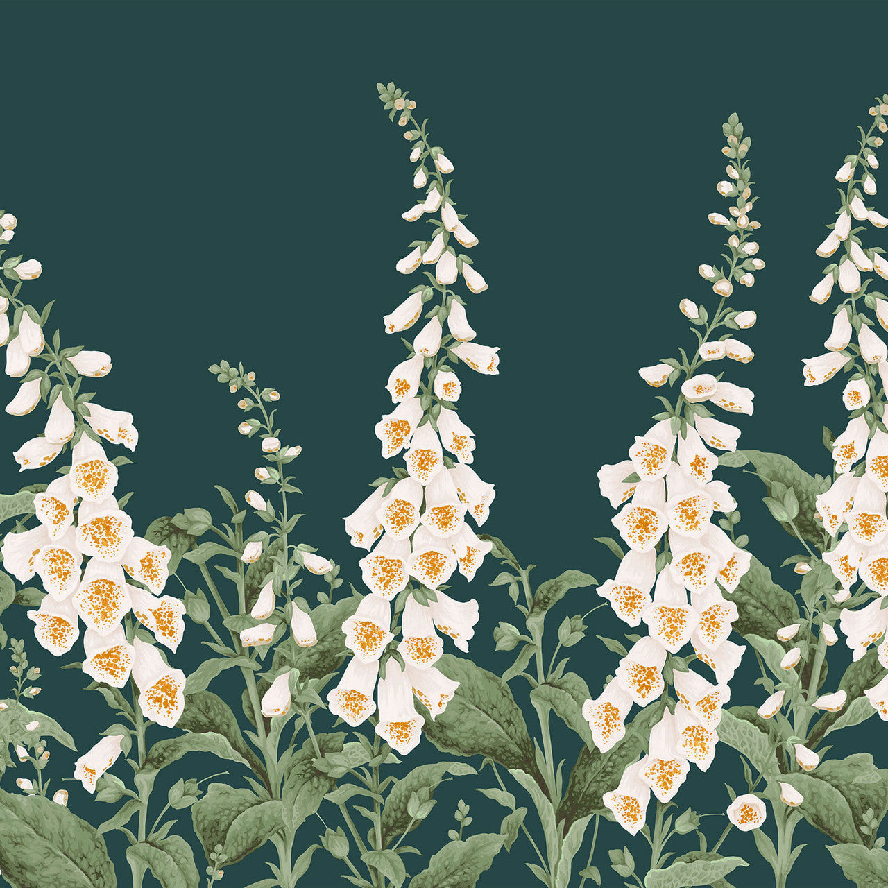 139928 Foxglove Concerto Teal Mural Wallpaper By Graham & Brown