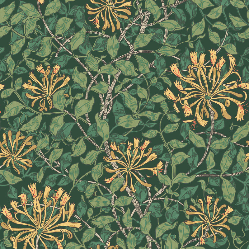 140487 Honeysuckle Verde William Morris at Home Wallpaper by Graham & Brown