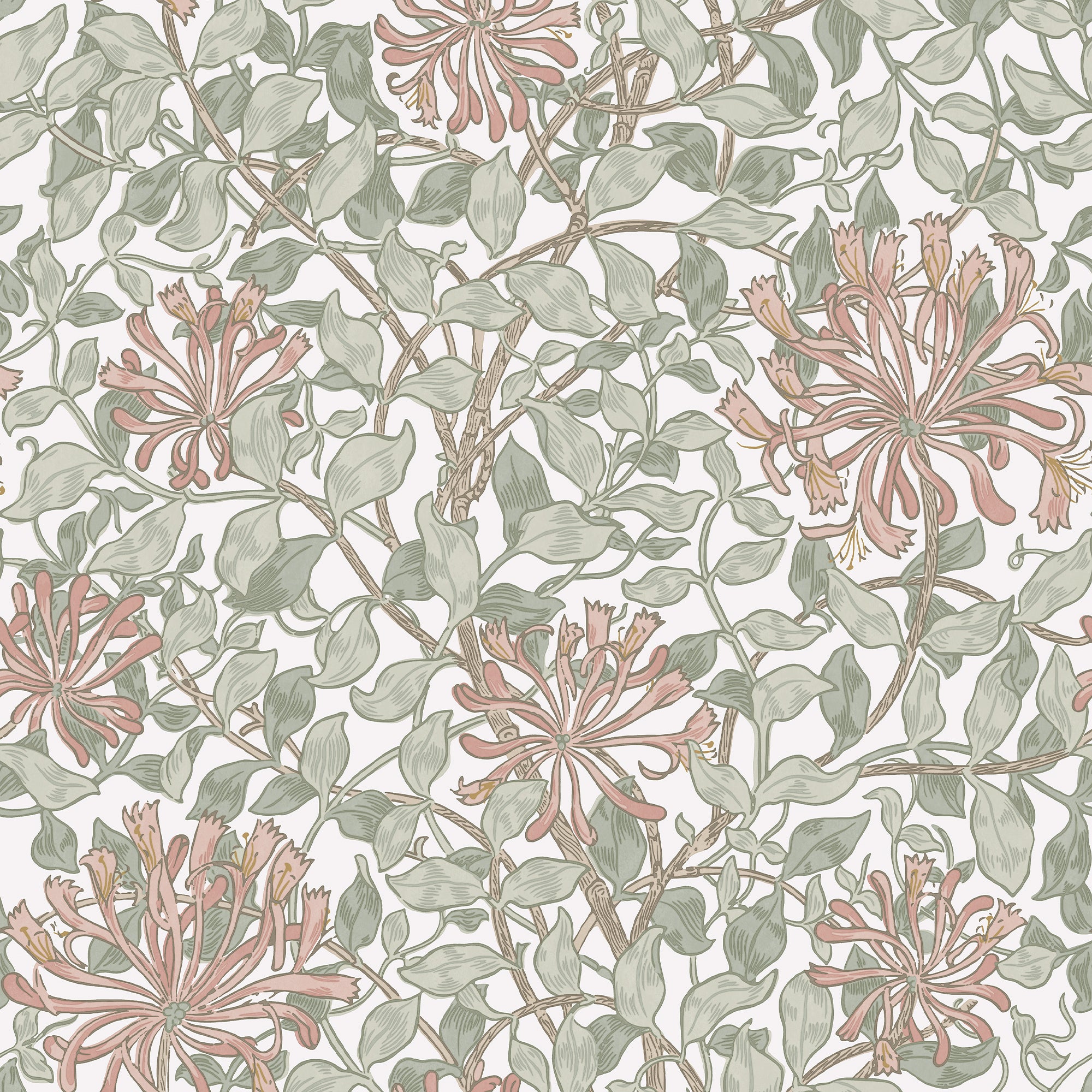 140488 Honeysuckle Maytime William Morris at Home Wallpaper by Graham & Brown