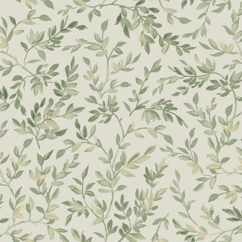 142348 Archivist’s Leaf Sage Wallpaper by Graham & Brown