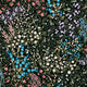 Painterly Flora Black Wallpaper by Graham & Brown