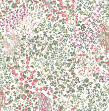 142353 Painterly Flora Day Wallpaper by Graham & Brown