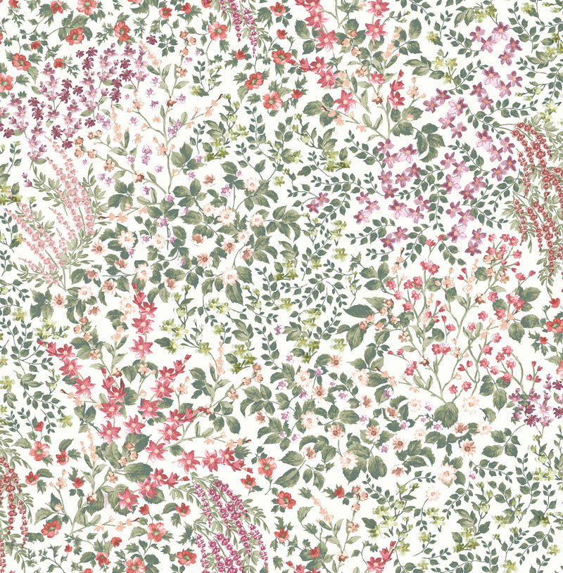 142353 Painterly Flora Day Wallpaper by Graham & Brown