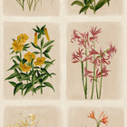 Pershore Postcards Linen Wallpaper by Laura Ashley