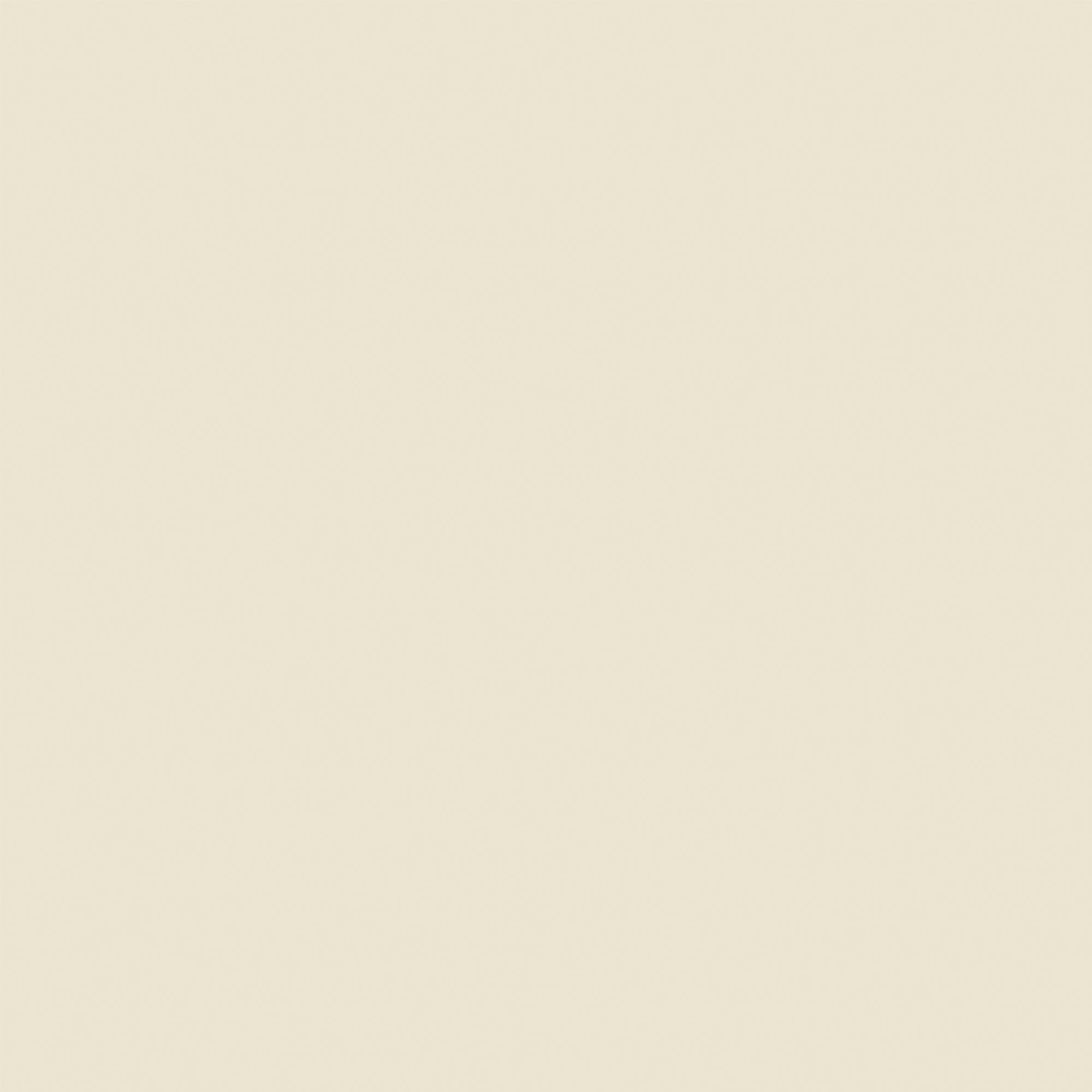 143410 Pure Sand Neutral Wallpaper by Next