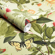 143507 Bodnant Garden Willow Wallpaper by Graham & Brown