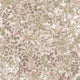 Reverie Whispering Rose Solstice Wallpaper by Graham & Brown