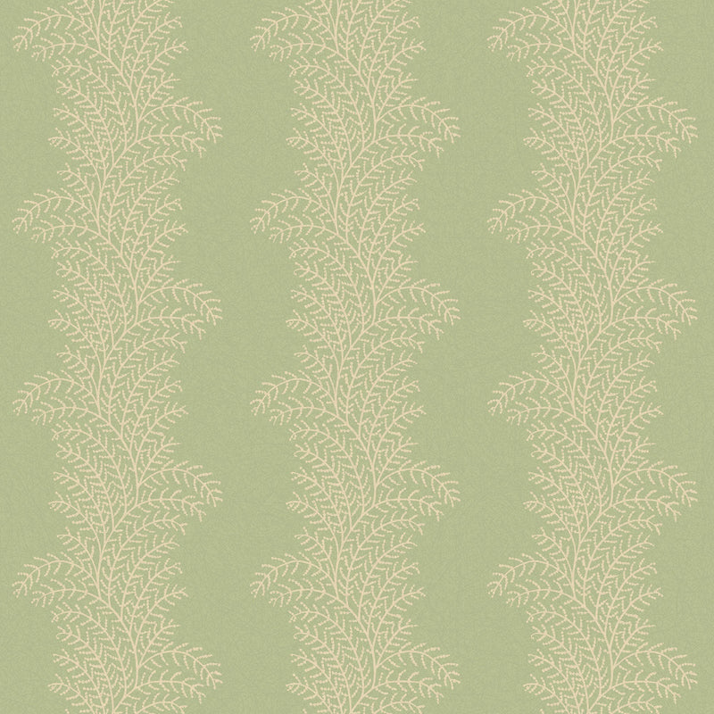 143536 Whispering Fern Dark Sage Wallpaper by Graham & Brown