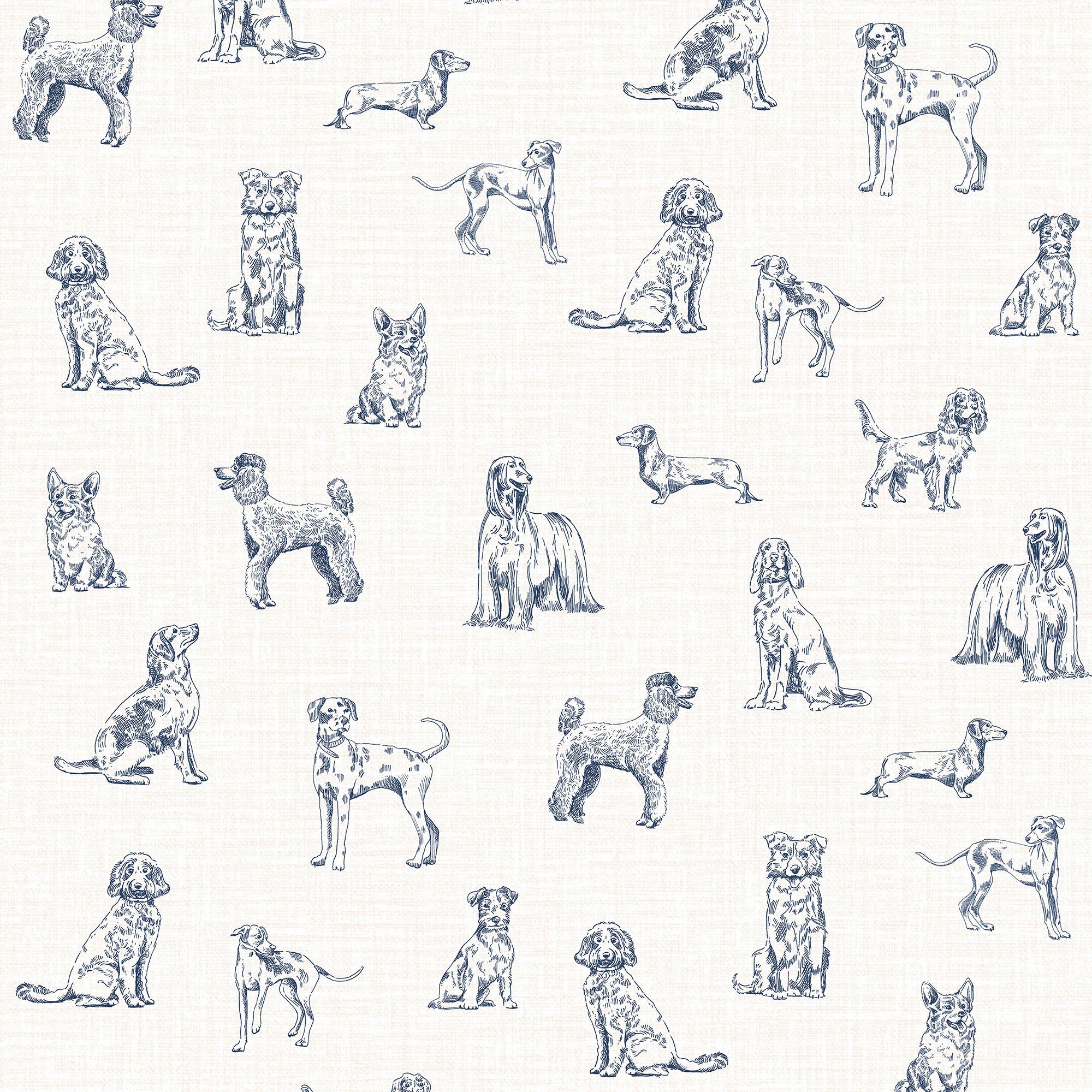 145388 Sketched Dogs Cream & Blue Wallpaper by Joules