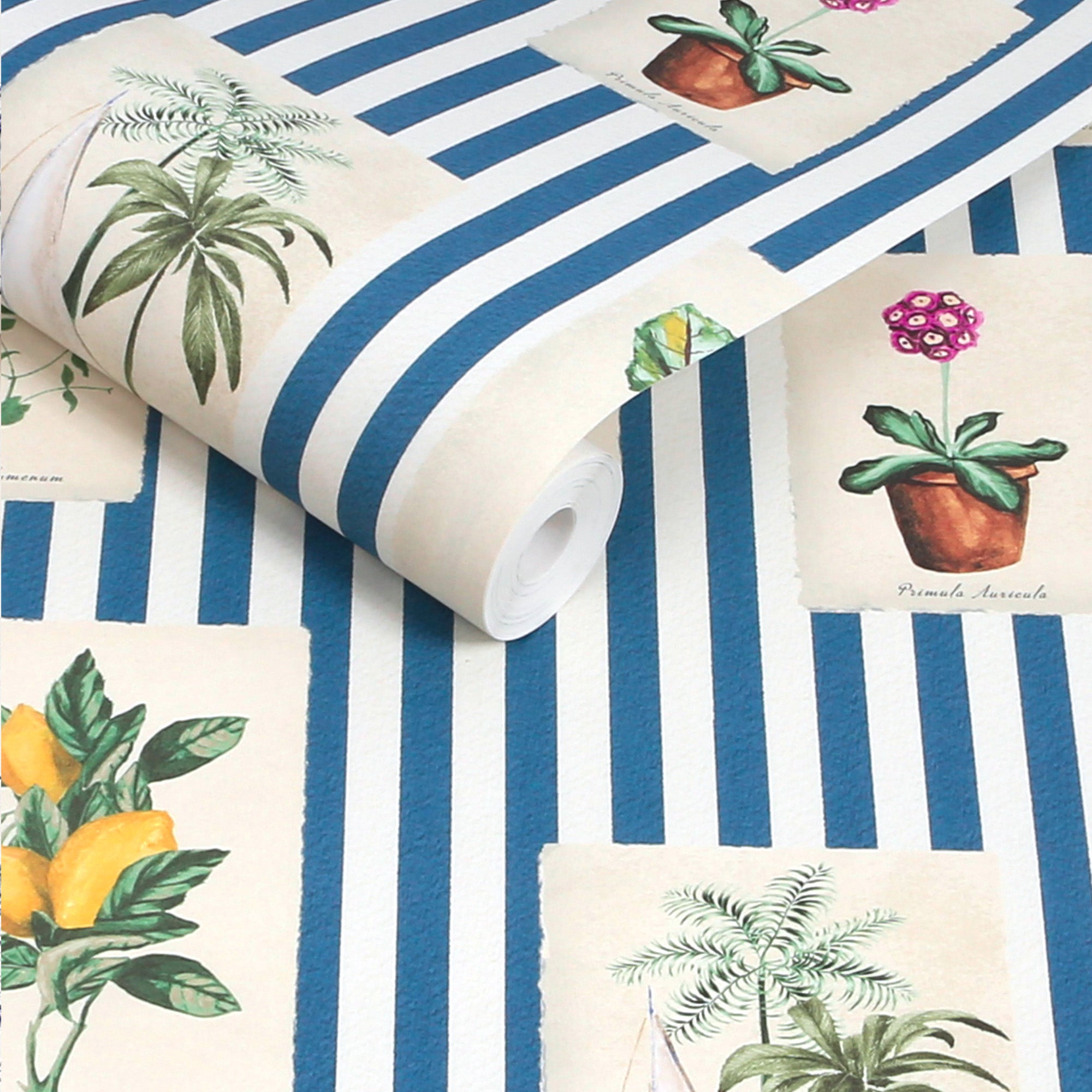 145389 Gallery Wall Stripe Blue Wallpaper by Joules