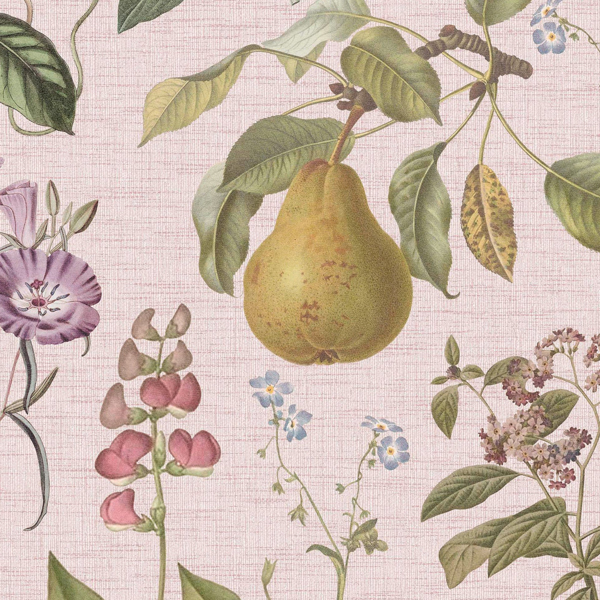 145459 Ophelia Pink Haven Bloom Wallpaper by Superfresco Easy
