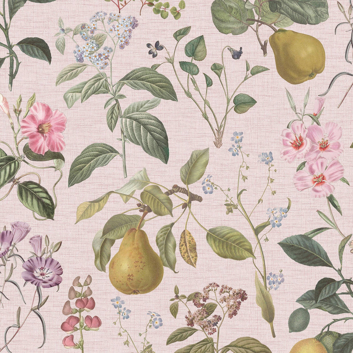 145459 Ophelia Pink Haven Bloom Wallpaper by Superfresco Easy
