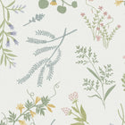 145613 Stitch Floral Ivory Wallpaper by Next