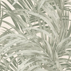145706 Congo Forest Wallpaper by Boutique