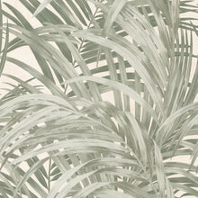 145706 Congo Forest Wallpaper by Boutique