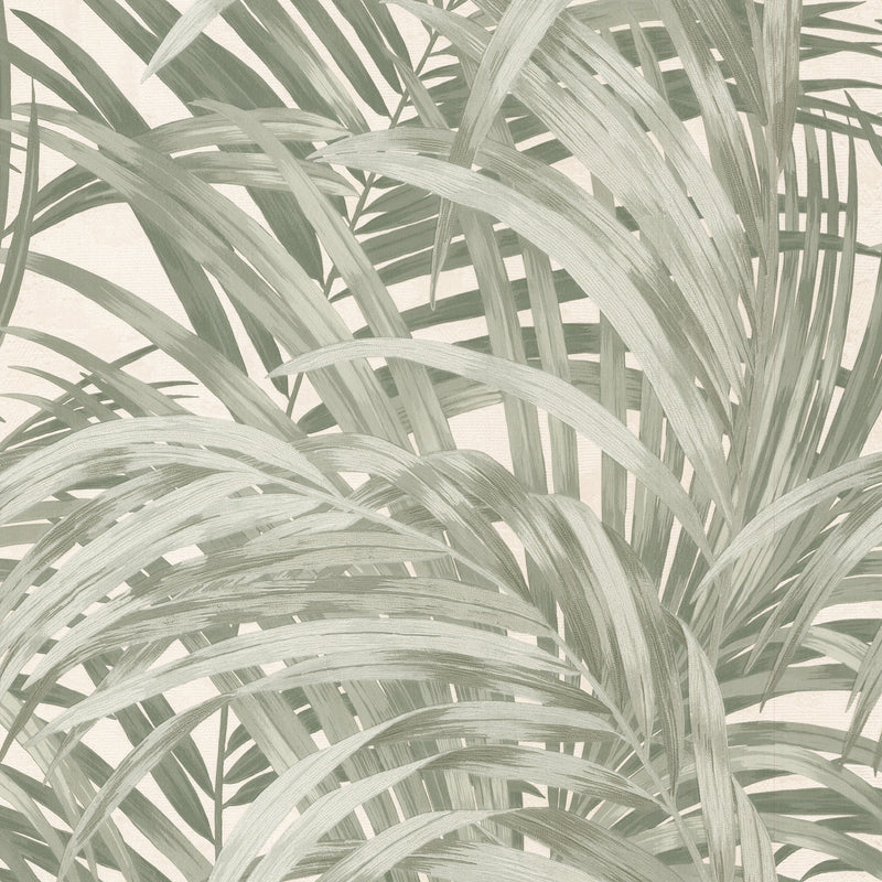 145706 Congo Forest Wallpaper by Boutique