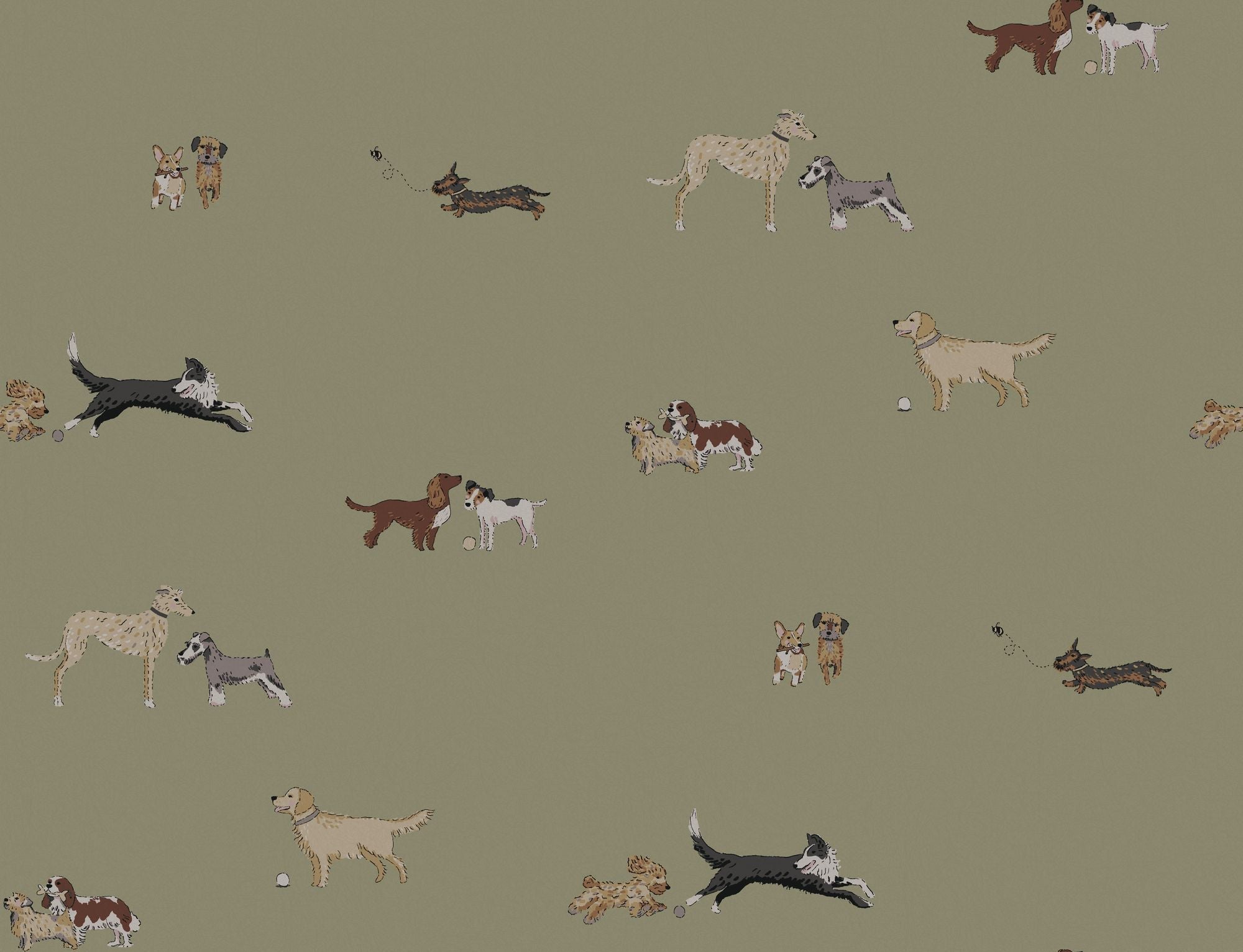 146831 Doggy Daycare Mossbank Green Wallpaper by Sophie Allport
