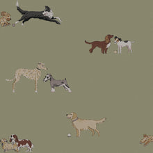 146831 Doggy Daycare Mossbank Green Wallpaper by Sophie Allport