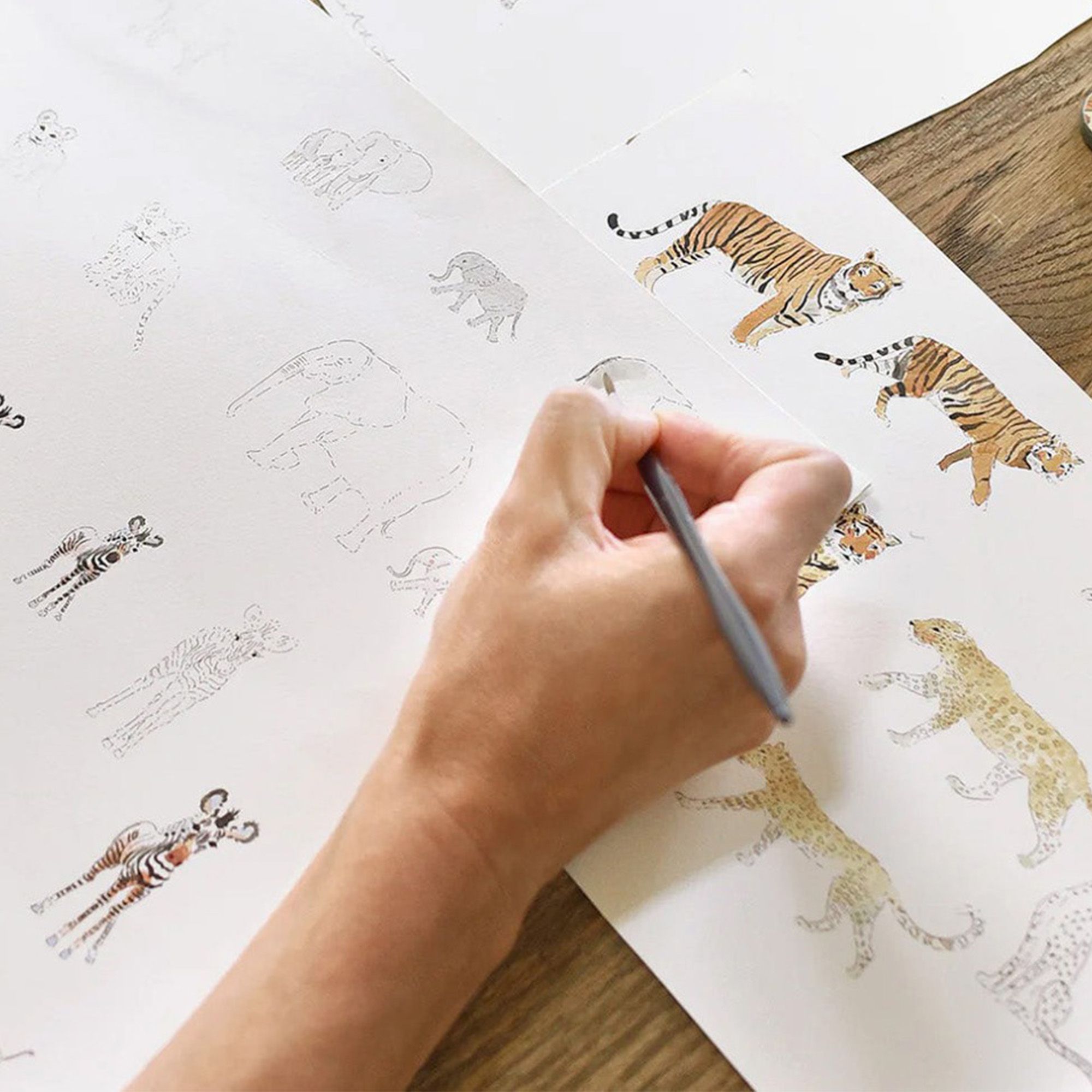 146832 Animals of the World Chalk Blush Wallpaper by Sophie Allport