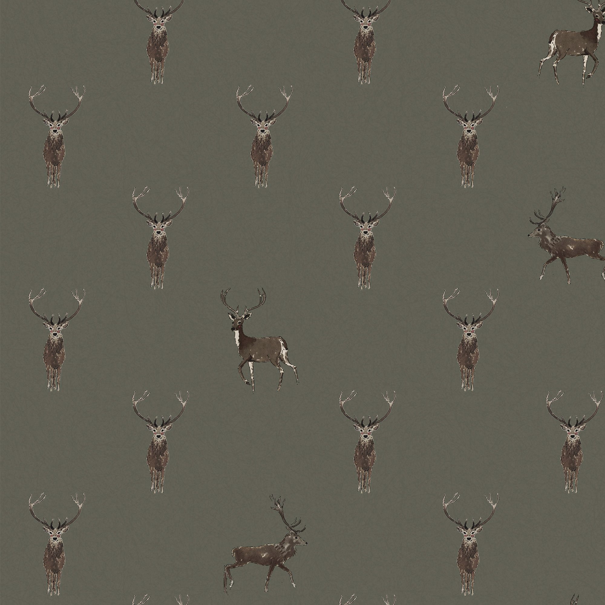 146854 Highland Stag Charcoal Wallpaper by Sophie Allport
