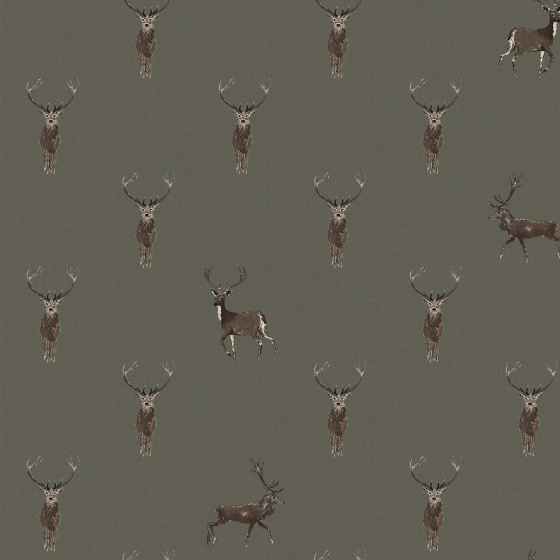 146854 Highland Stag Charcoal Wallpaper by Sophie Allport