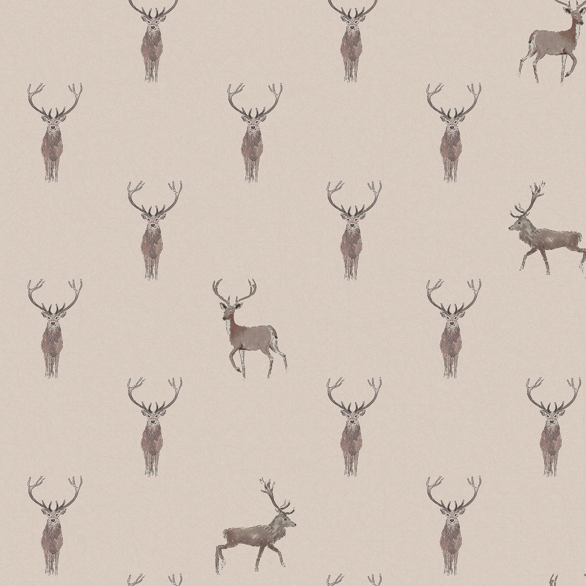 146855 Highland Stag Rutland Stone Wallpaper by Sophie Allport