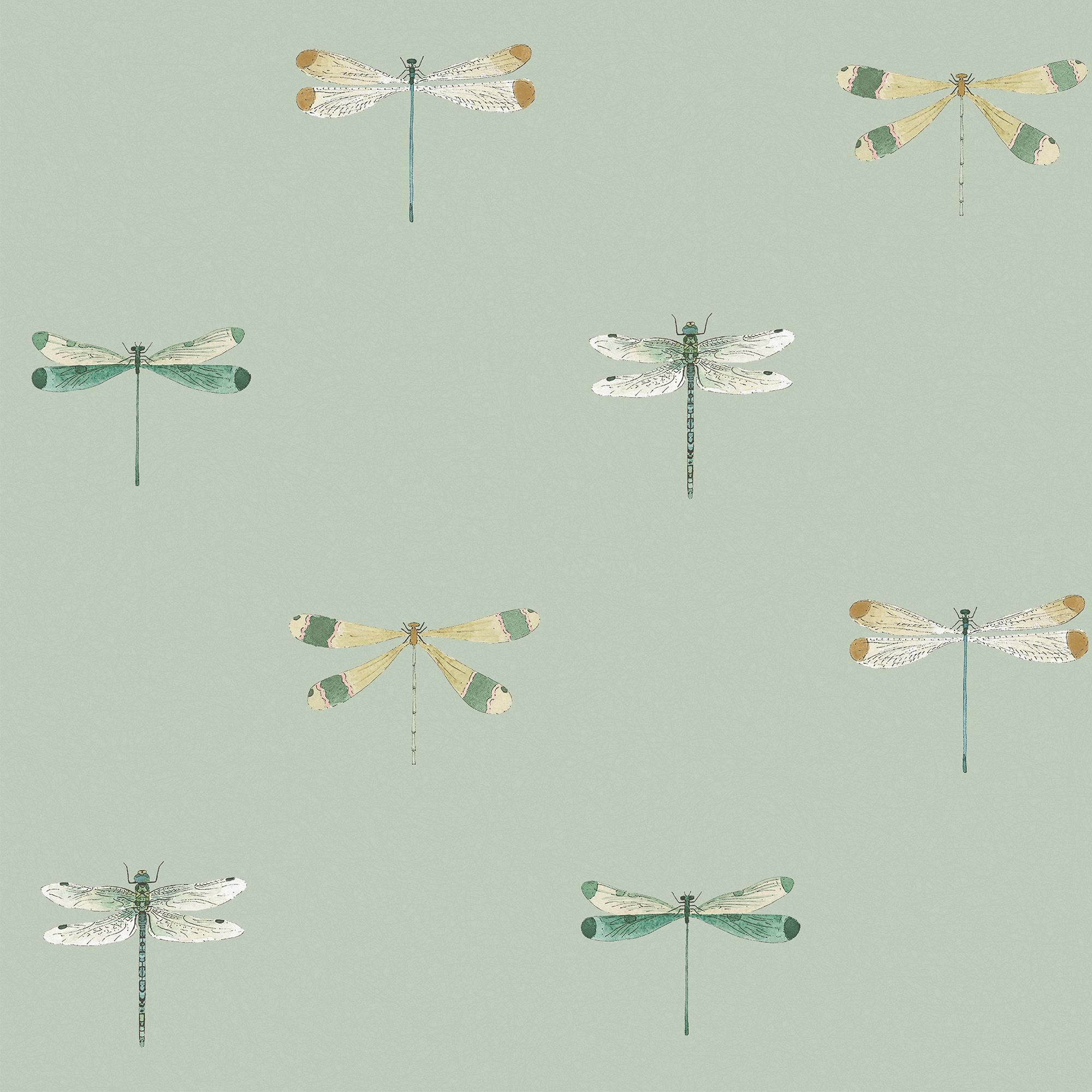 146856 Watercolour Dragonfly Pale Sprig Wallpaper by Sophie Allport