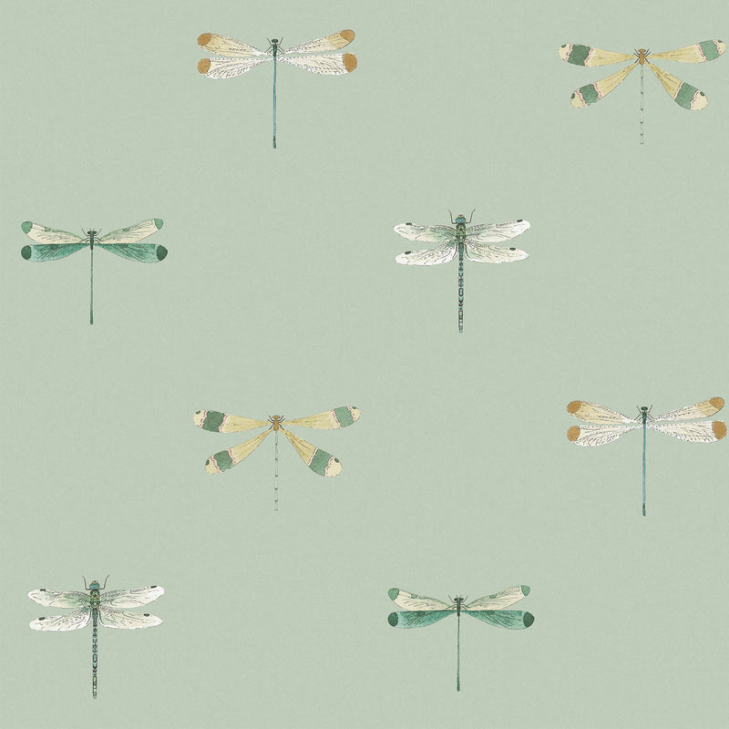 146856 Watercolour Dragonfly Pale Sprig Wallpaper by Sophie Allport