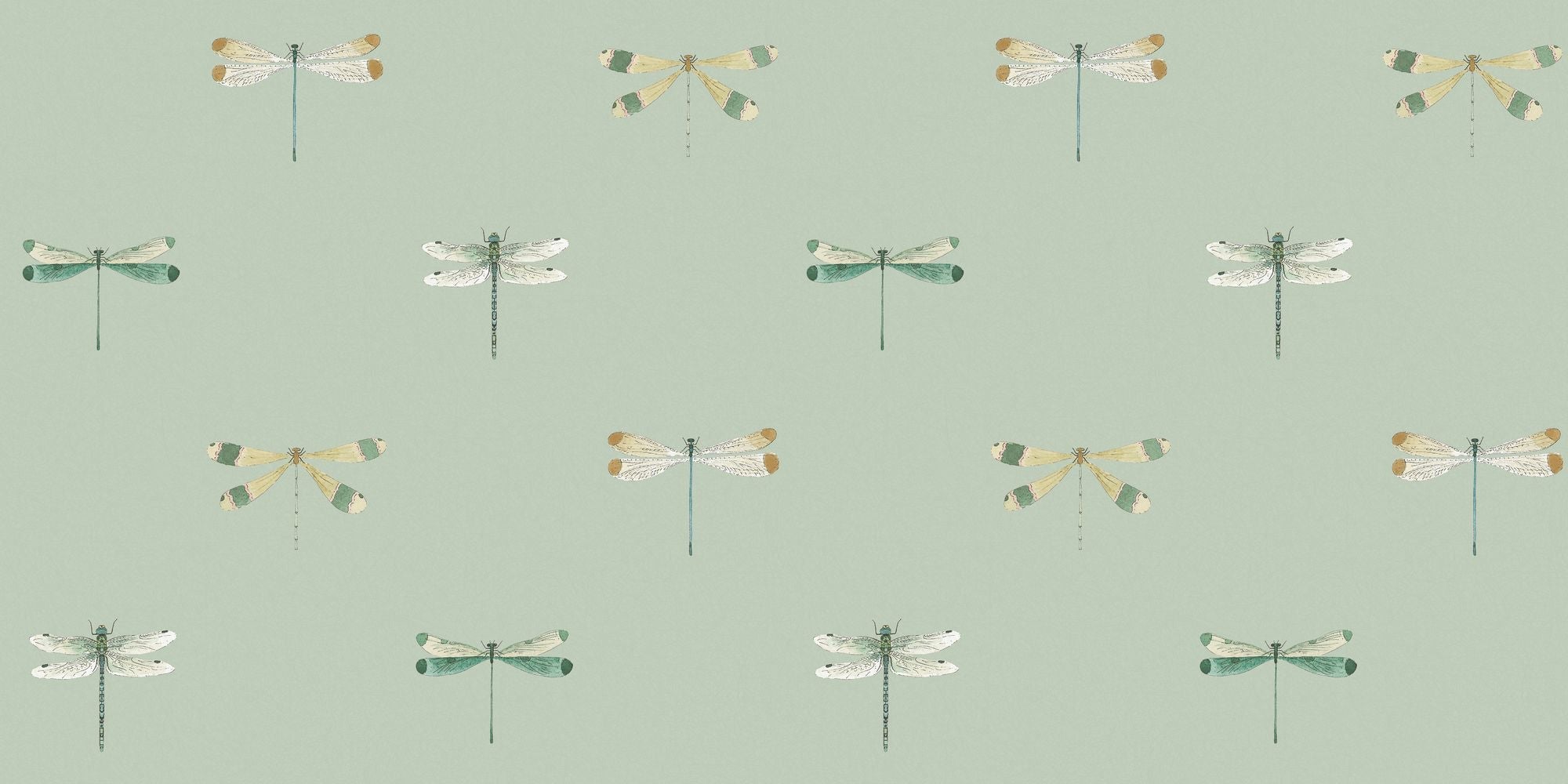 146856 Watercolour Dragonfly Pale Sprig Wallpaper by Sophie Allport