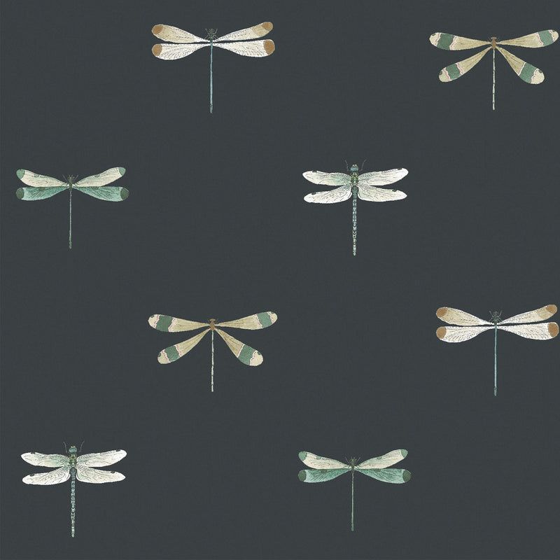 146857 Watercolour Dragonfly Oundle Navy Wallpaper by Sophie Allport