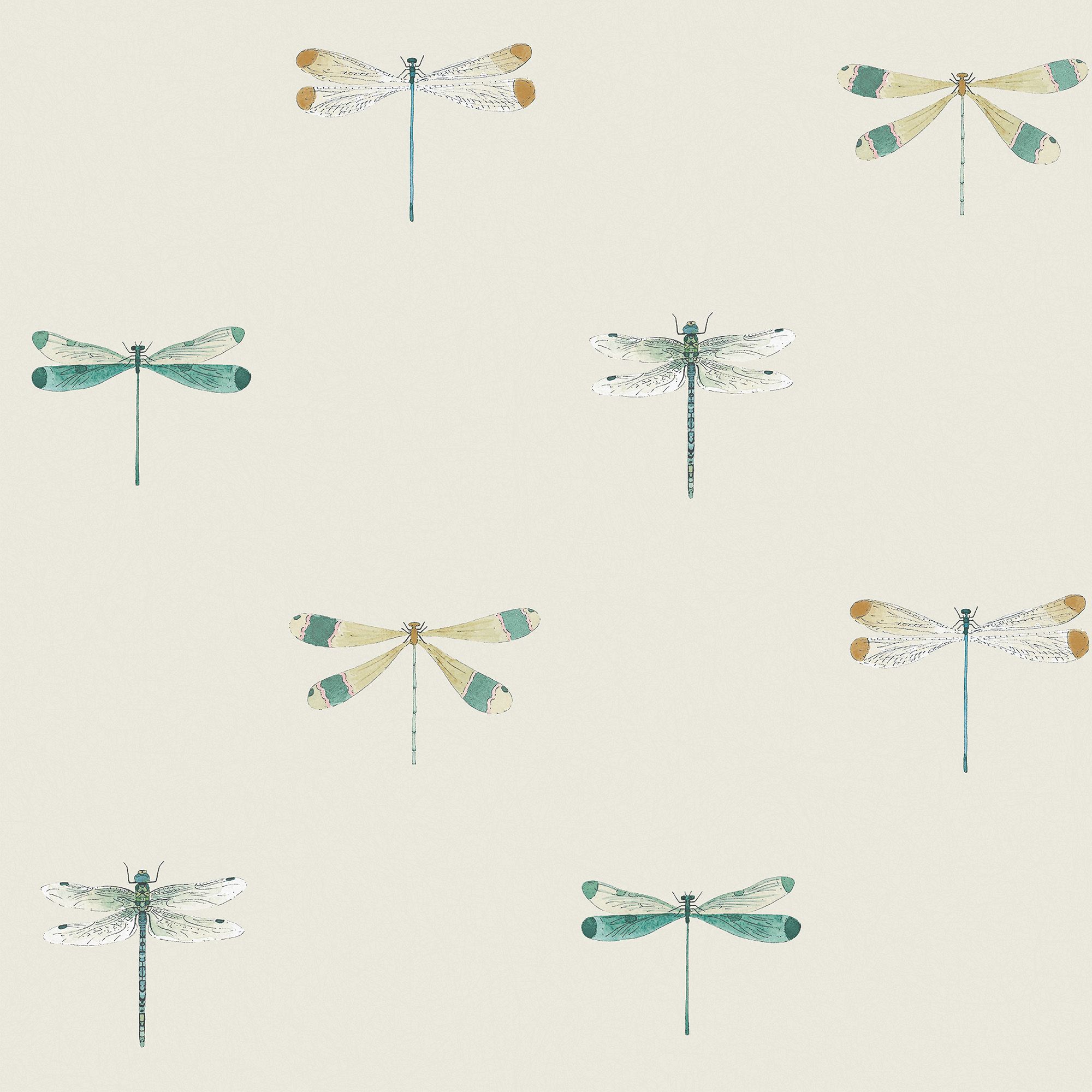 146858 Watercolour Dragonfly Off White Wallpaper by Sophie Allport