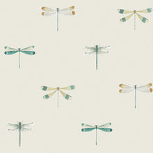 146858 Watercolour Dragonfly Off White Wallpaper by Sophie Allport
