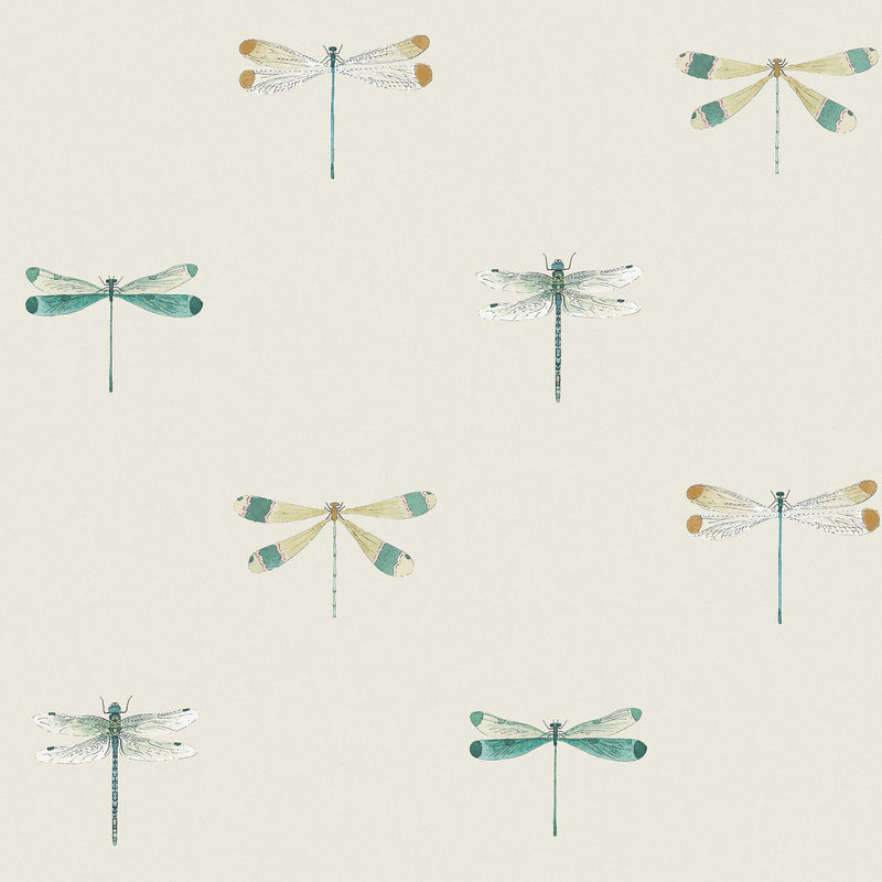 146858 Watercolour Dragonfly Off White Wallpaper by Sophie Allport