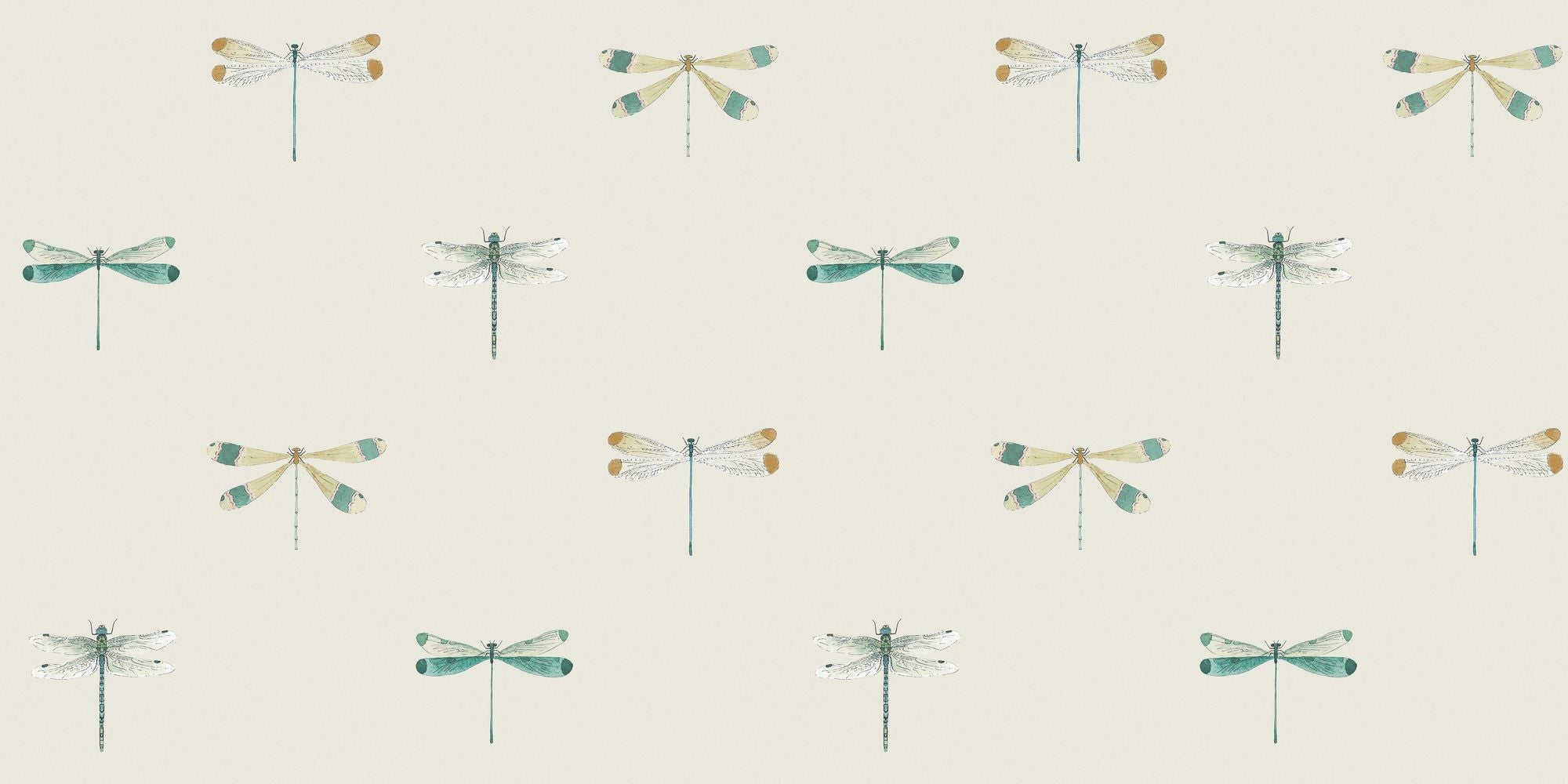 146858 Watercolour Dragonfly Off White Wallpaper by Sophie Allport