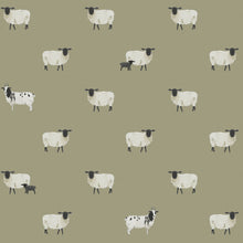 146859 Sheep Mossbank Green Wallpaper by Sophie Allport