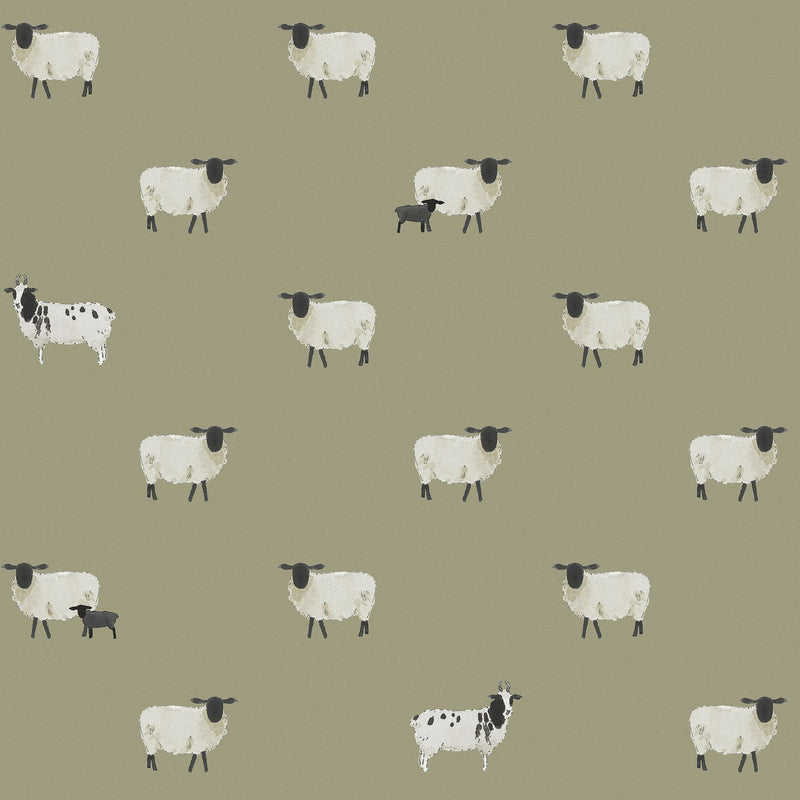 146859 Sheep Mossbank Green Wallpaper by Sophie Allport