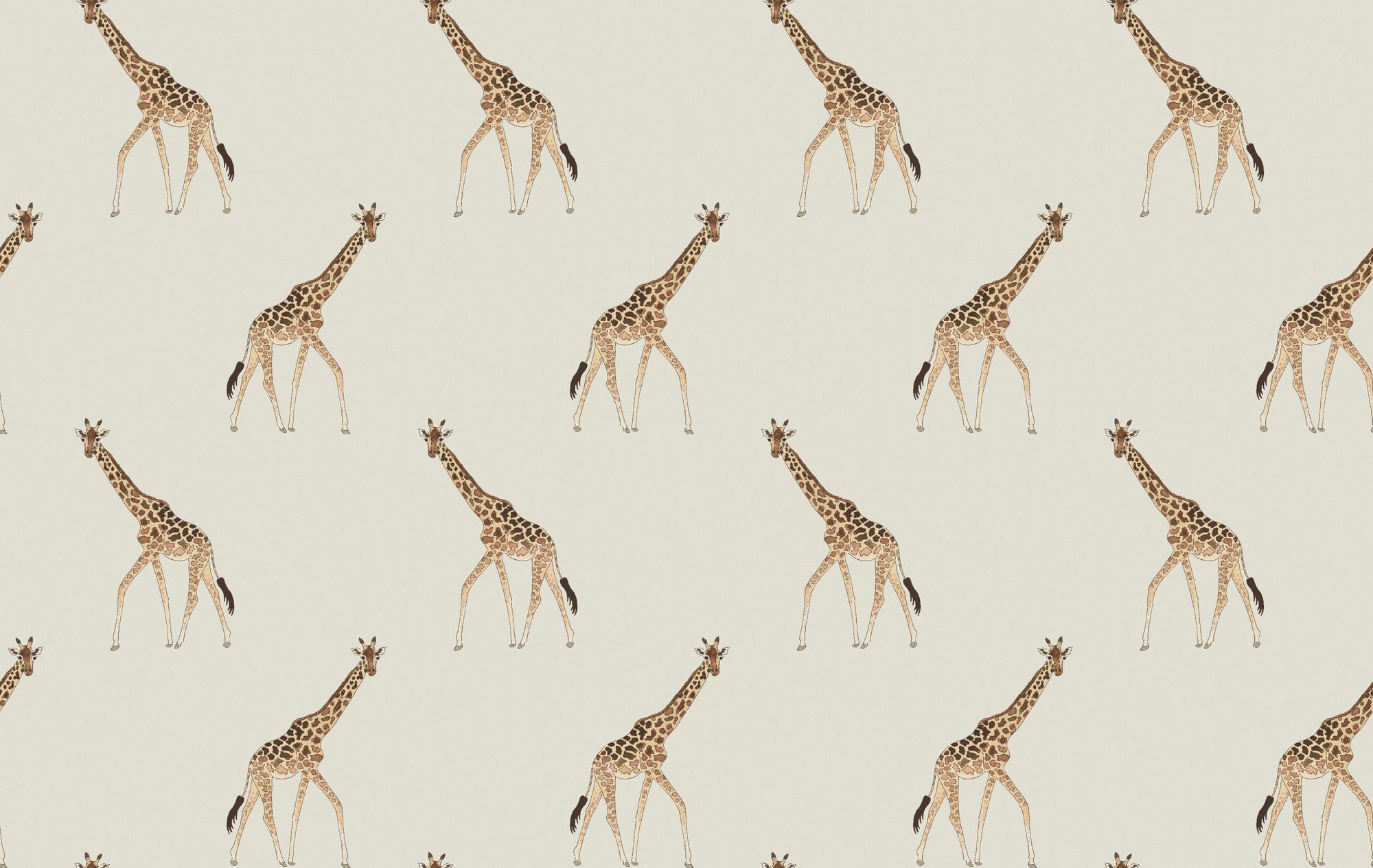 146862 Giraffe Off White Wallpaper by Sophie Allport